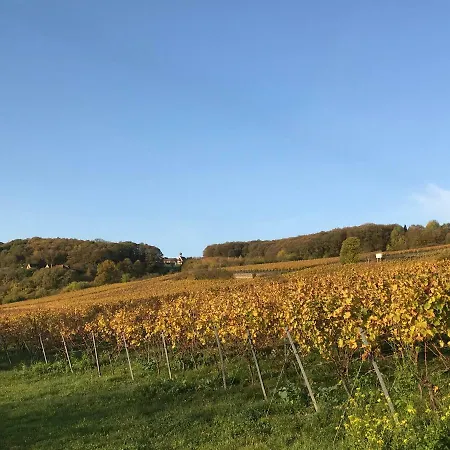 Vineyard Breeze Bad Bergzabern