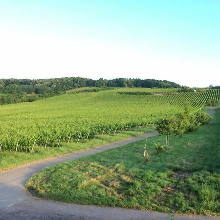 Vineyard Breeze Bad Bergzabern