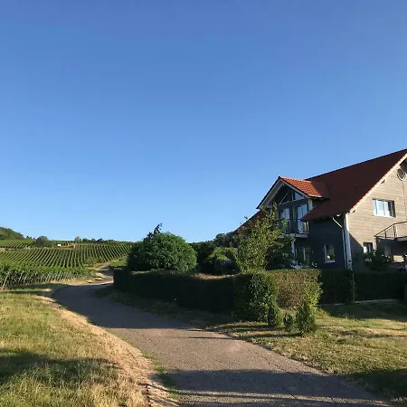Vineyard Breeze Lägenhet Bad Bergzabern