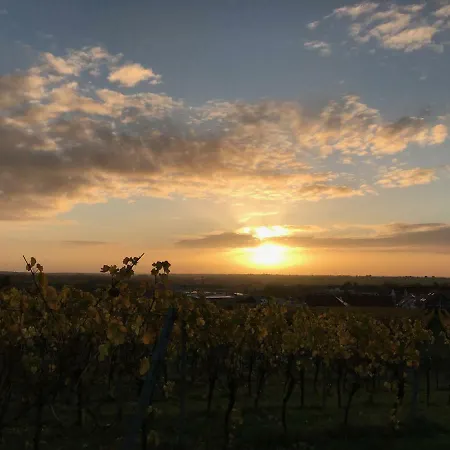 Vineyard Breeze Lägenhet Bad Bergzabern