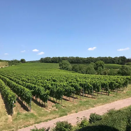 Vineyard Breeze