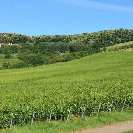 Vineyard Breeze Lägenhet *