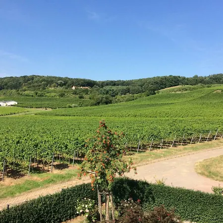Vineyard Breeze