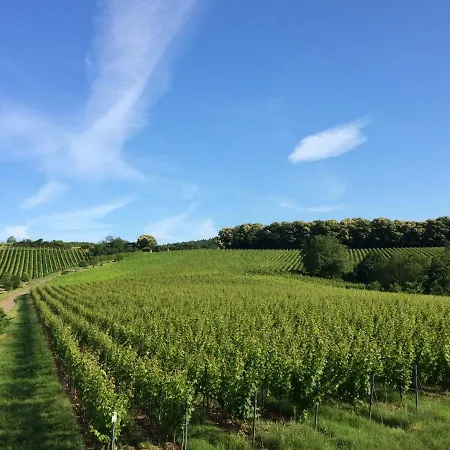 Vineyard Breeze Lägenhet