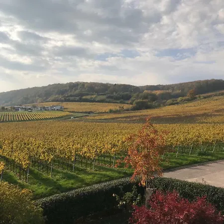 Lägenhet Vineyard Breeze *