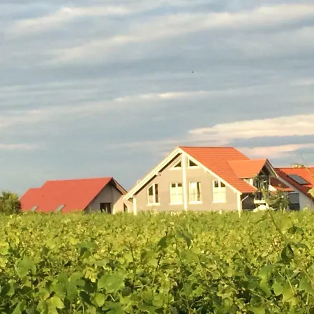 Lägenhet Vineyard Breeze *